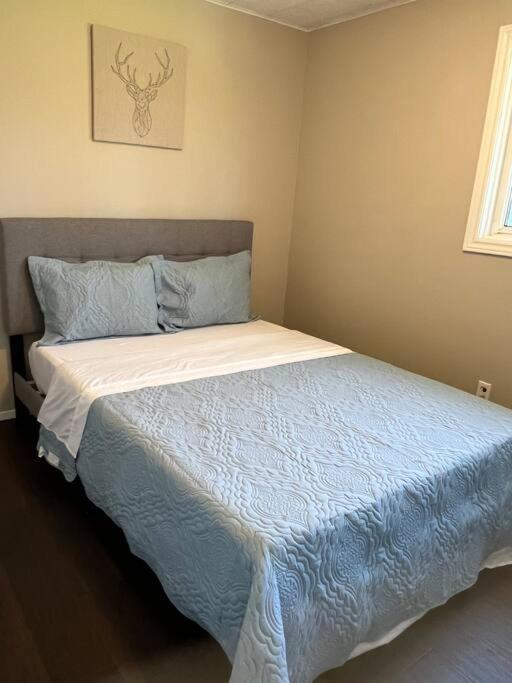 Family Friendly Cottage ☆Walking Distance To Beach ライオンズ・ヘッド エクステリア 写真